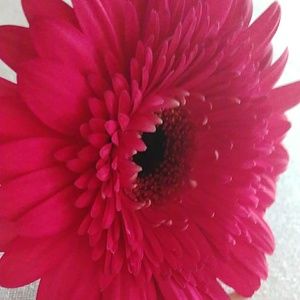 Meet your Posher, Marah